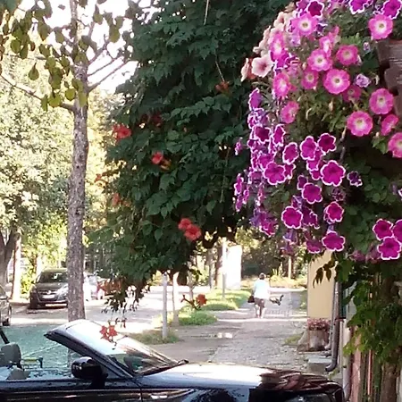 Ferienglueck *