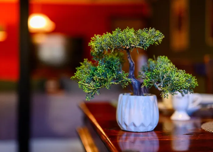 Ferienglueck Apartment *