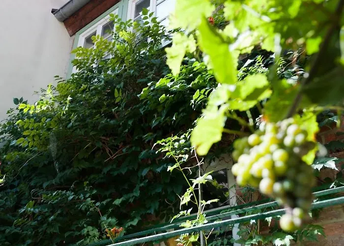 Apartment Ferienglueck Quedlinburg